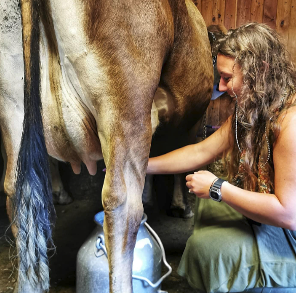 Grasgevoerd en biologisch vlees vs supermarkt vlees: wat is het verschil voor je gezondheid?