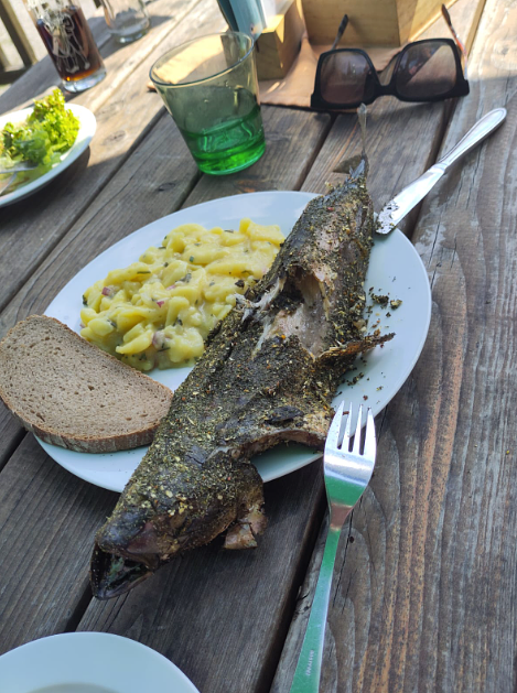 Omega 3-6 en waarom ik (Gia) ben gestopt met het slikken van visolie