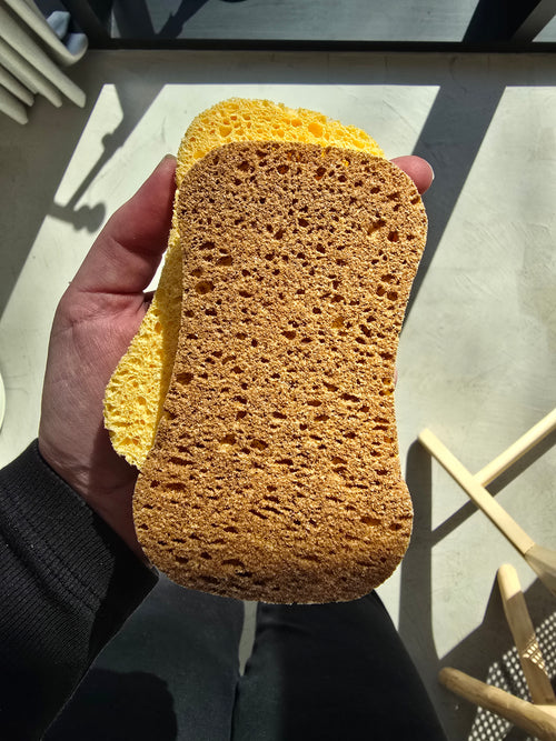 Troepvrije Sponzen