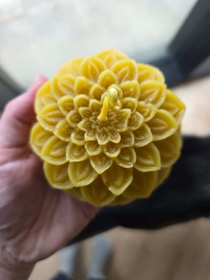 Troepvrije handgemaakte bijenwaskaarsen uit Zeeland 🐝