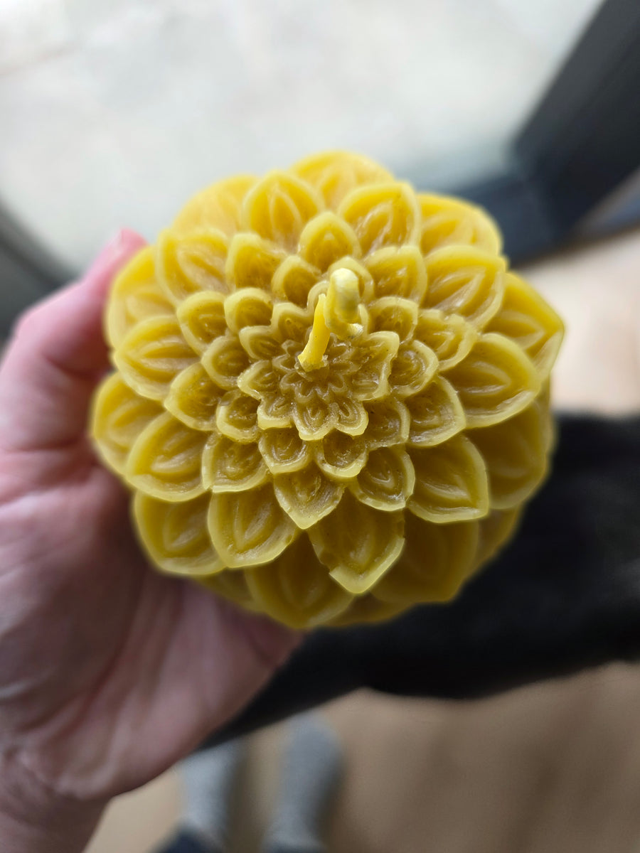 Troepvrije handgemaakte bijenwaskaarsen uit Zeeland 🐝